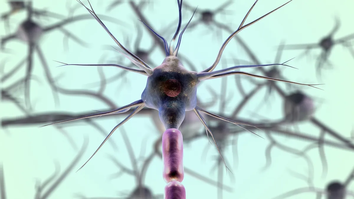 Illustration of neurons and neural connections in the brain